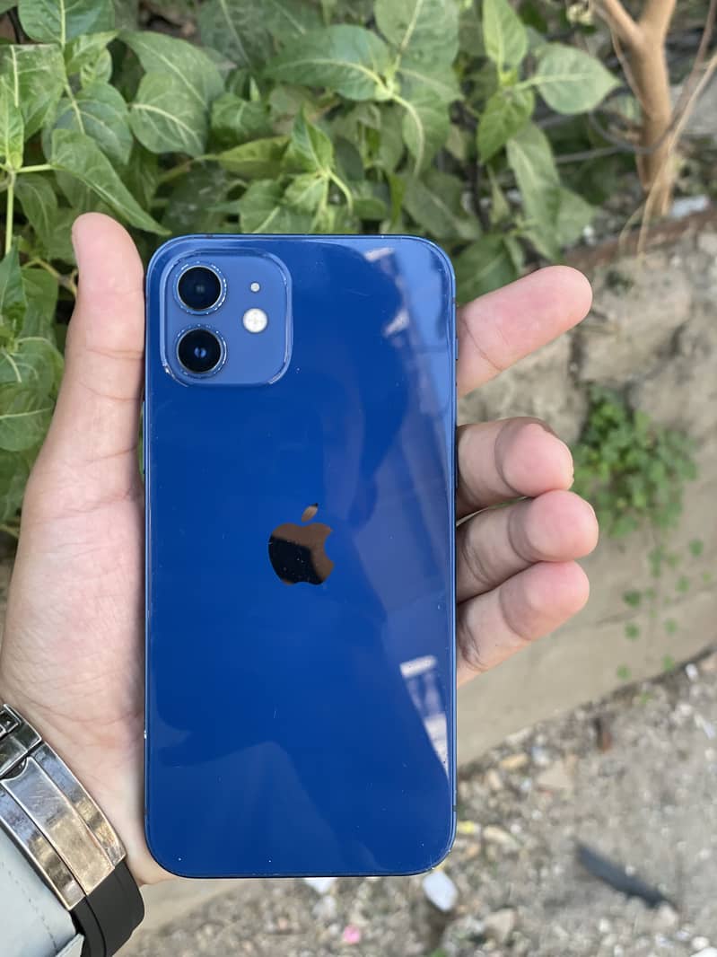 Apple iPhone 12 1