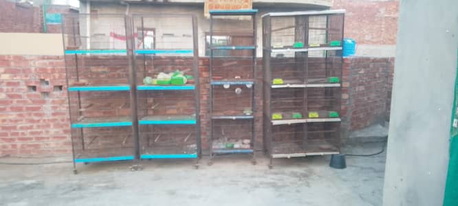 Birds Cages for Sale