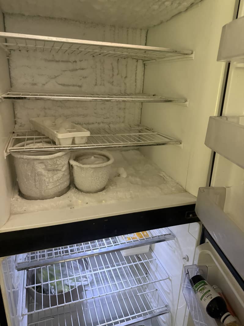 Pel Refrigerators 3