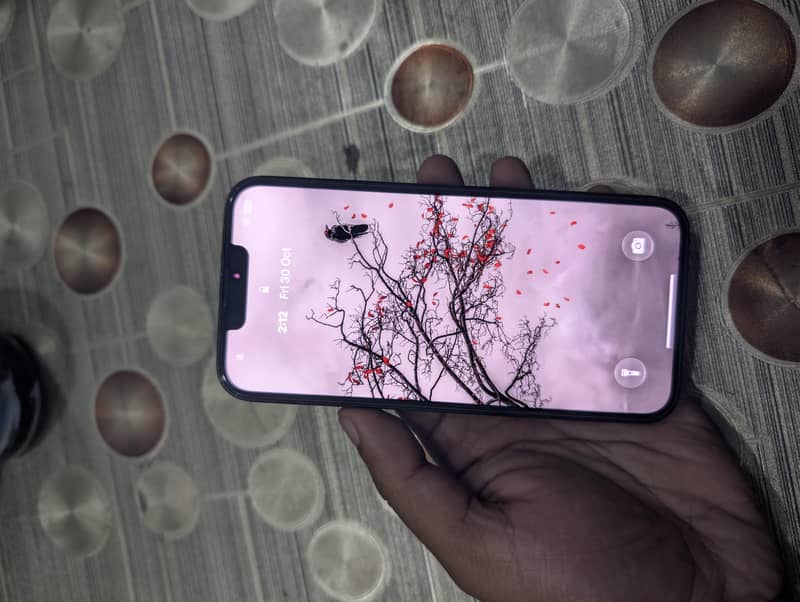 Apple iPhone 16e 1