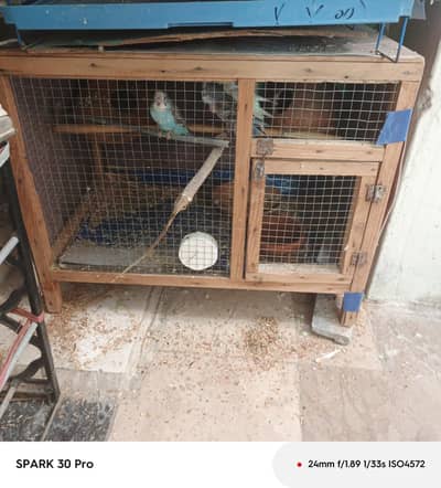 cage for sale