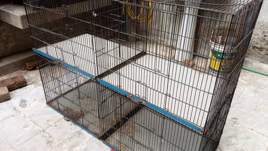 Cage for Birds and Hens