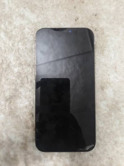 Apple iPhone 12 Pro Max