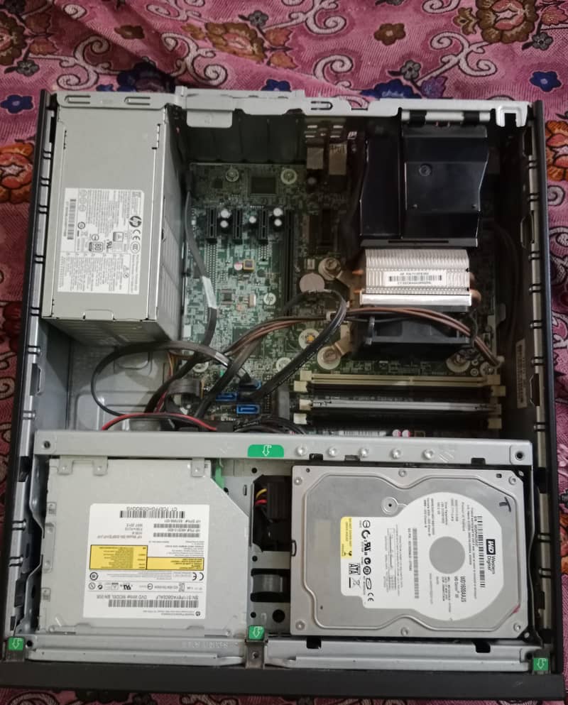 Hp6000 1