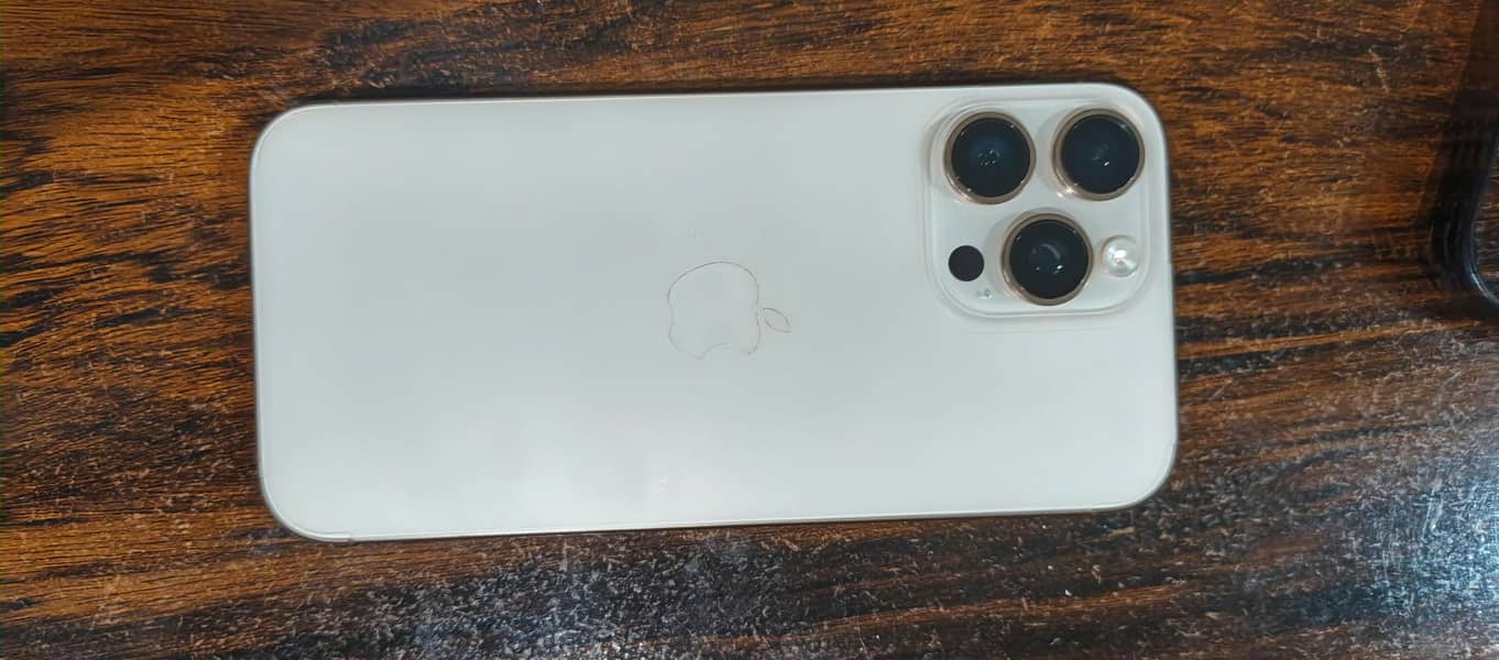 Apple iPhone 16 Pro Max 1