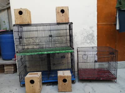 zarar Folding cages with love birds boxes