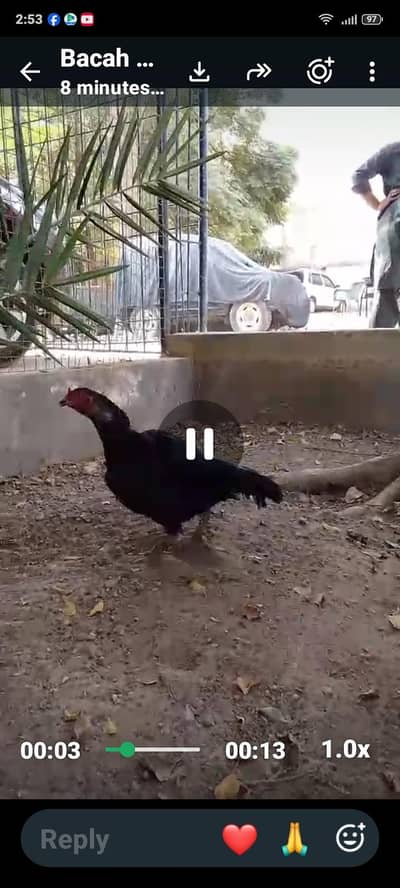 Whatsapp number 03160128325