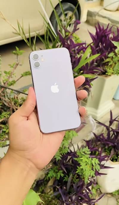 Apple iPhone 11