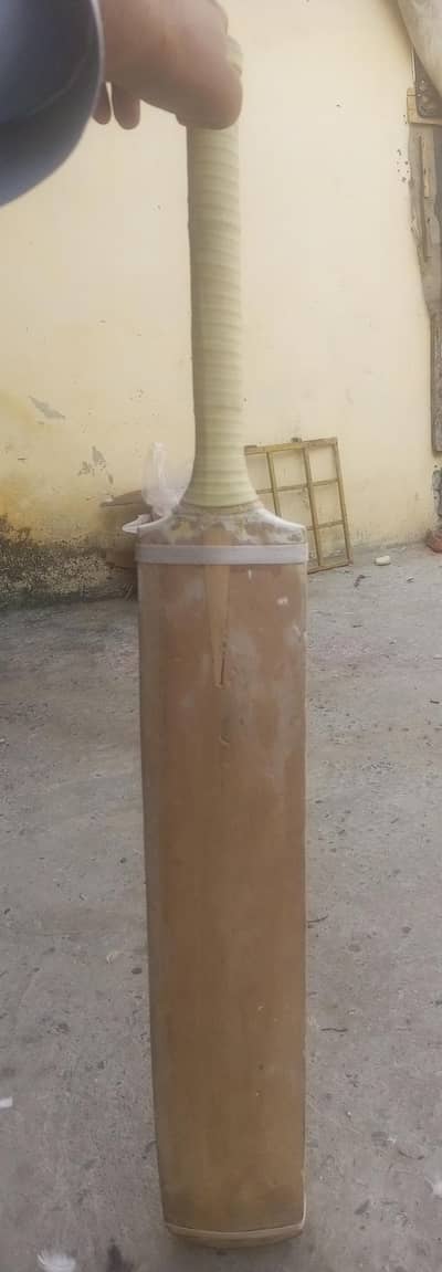 GA qasim bat