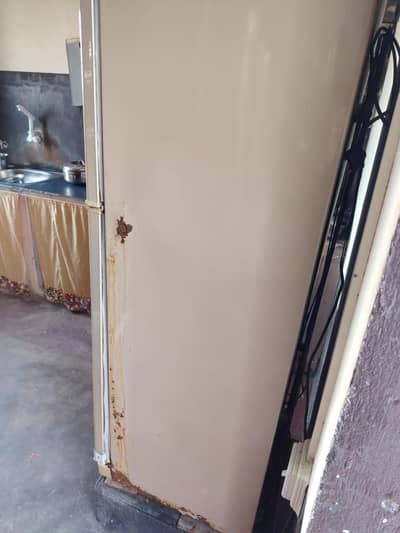 frige for sale