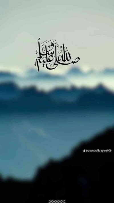 M.hamid