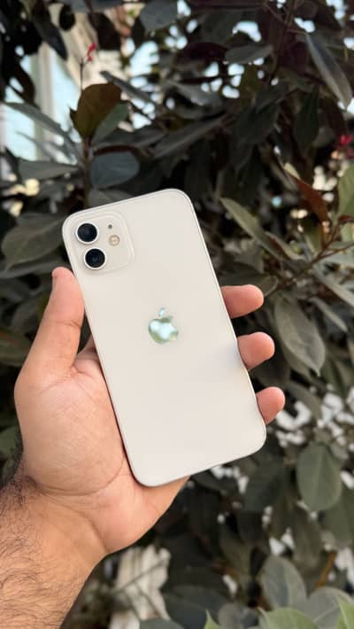 iPhone 12 dual pta 256gb