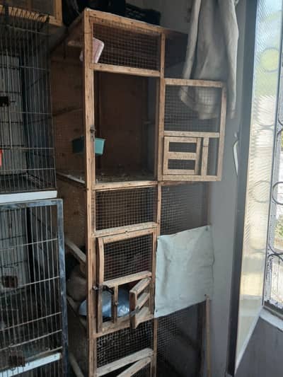 Cage for sale