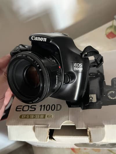 Canon 1100D with canon 50mm 1.8 bluring lense