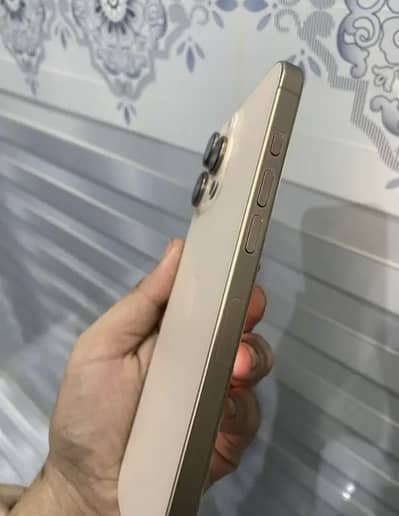 iPhone 16 Pro Max 256 GB non pta