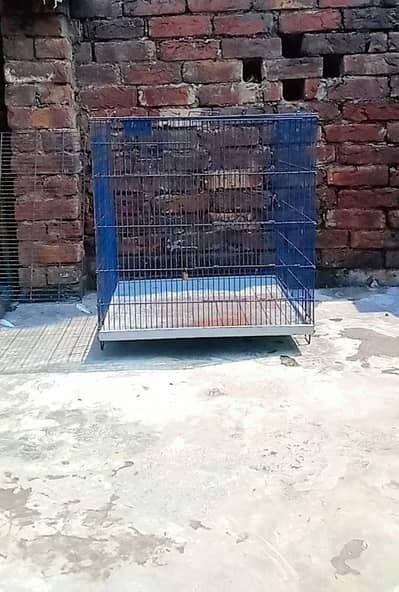 folding cages for sale