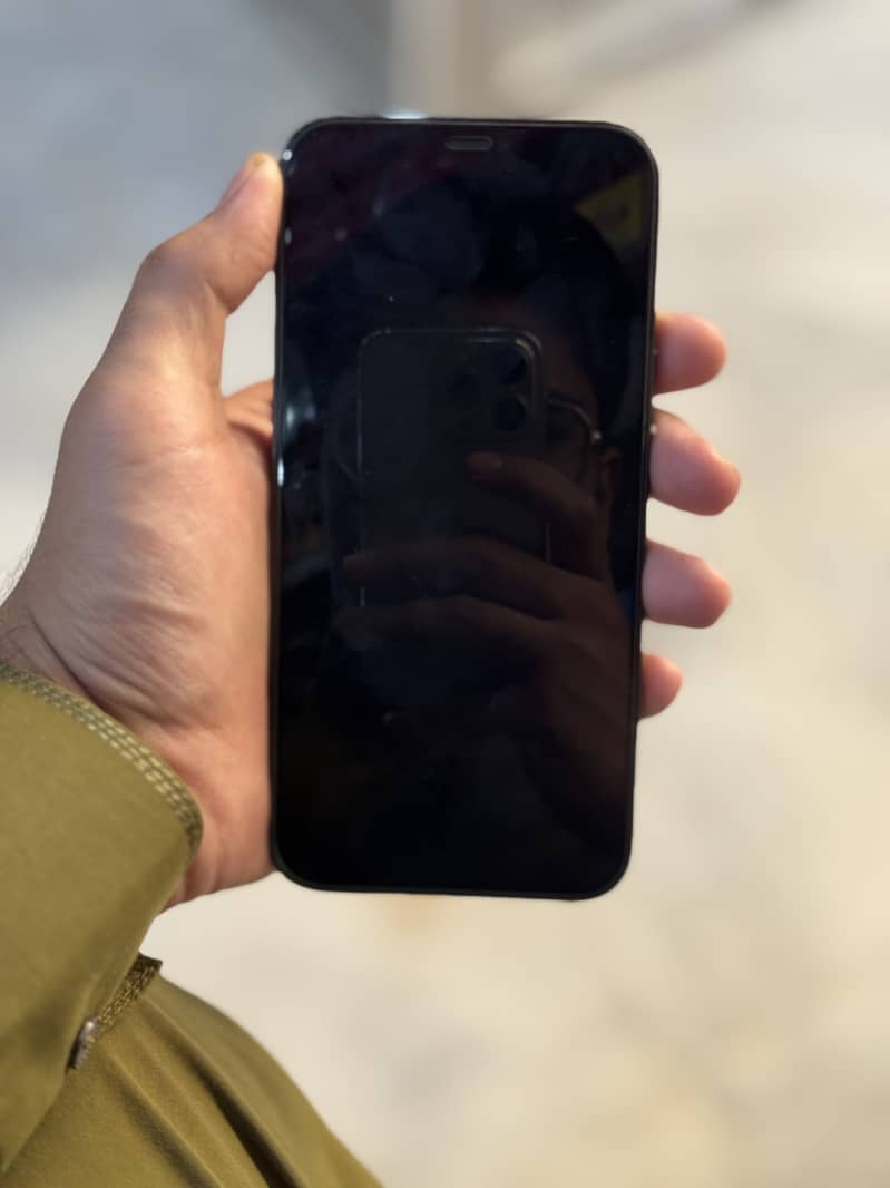 Apple iPhone 12 Pro Max 1