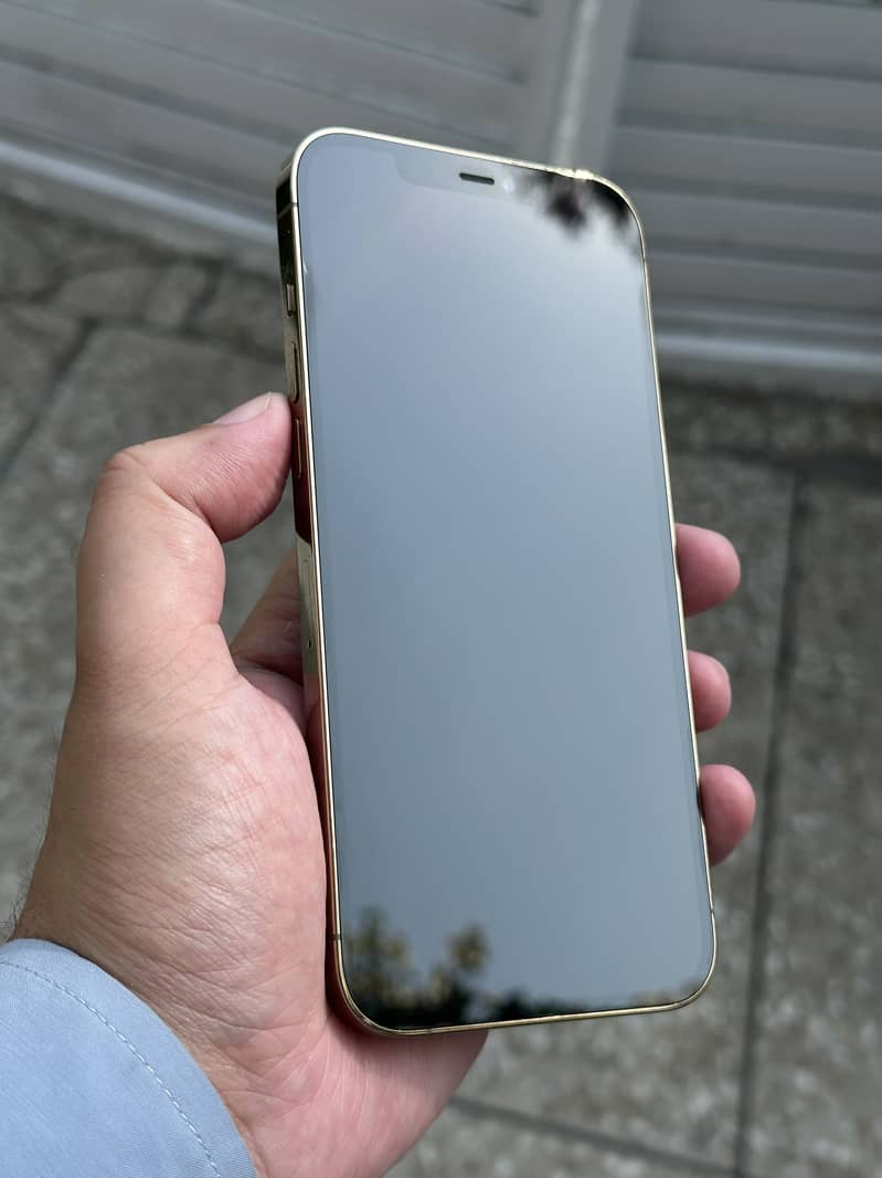 Apple iPhone 12 Pro Max 5