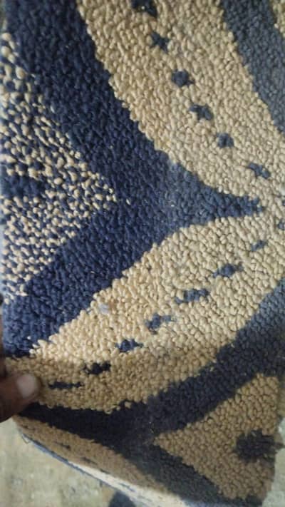 carpet