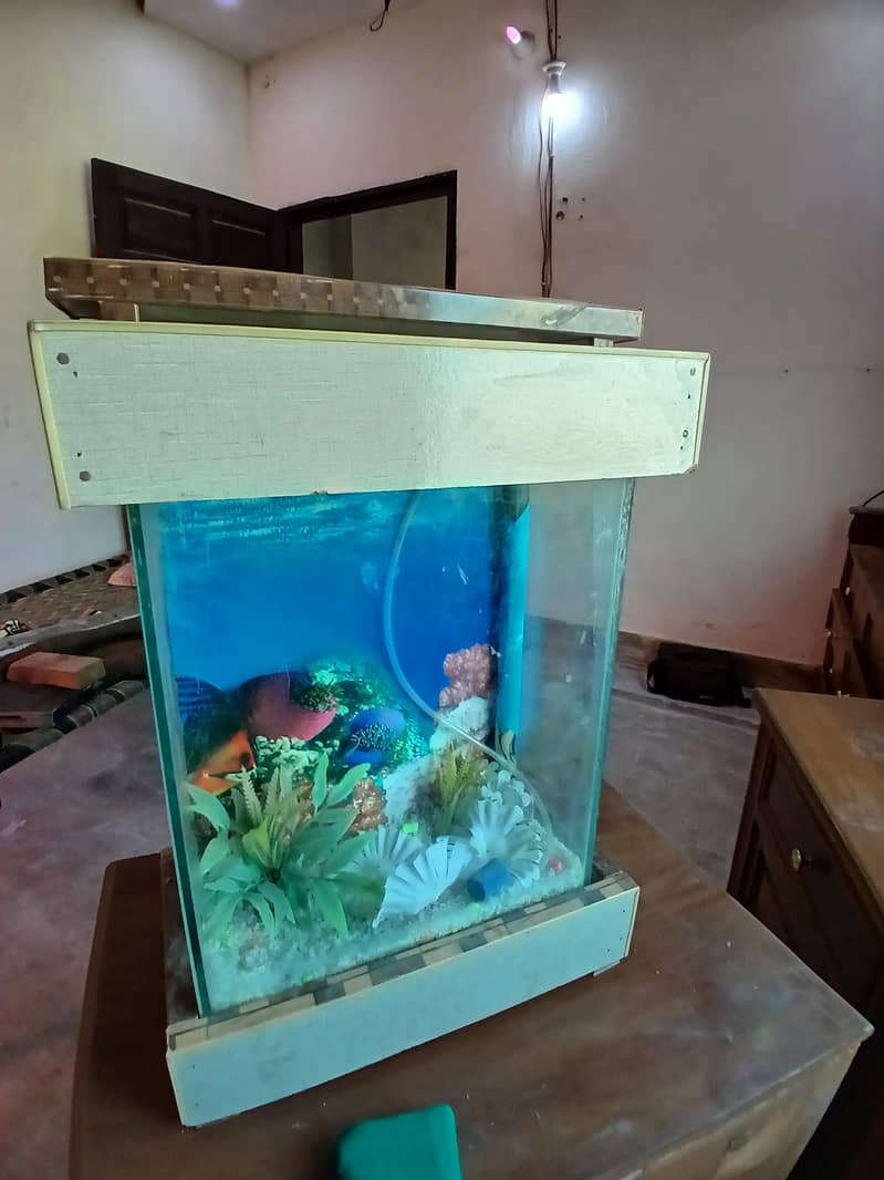 aquarium 0