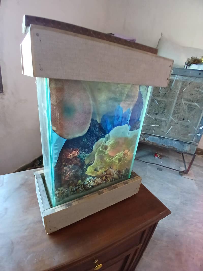 aquarium 6