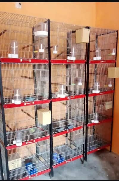 full Birds cages tawer for sale emergency payment zarorat ha good luck