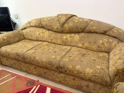 Elegant Floral Fabric Sofa Set For Sale.