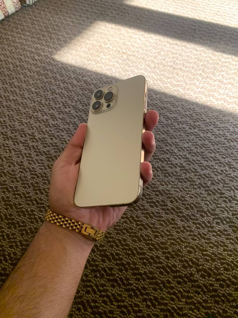 Apple iPhone 13 Pro Max 1