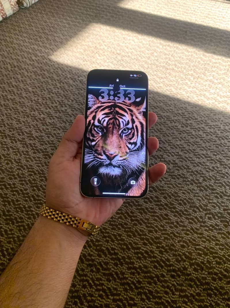 Apple iPhone 13 Pro Max 5
