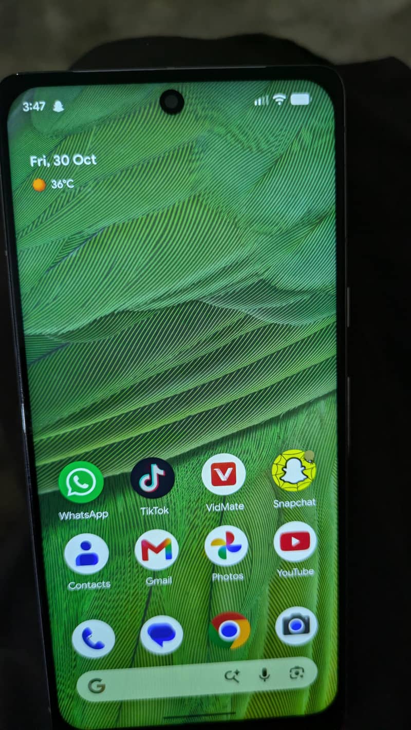 Google Pixel 7 1