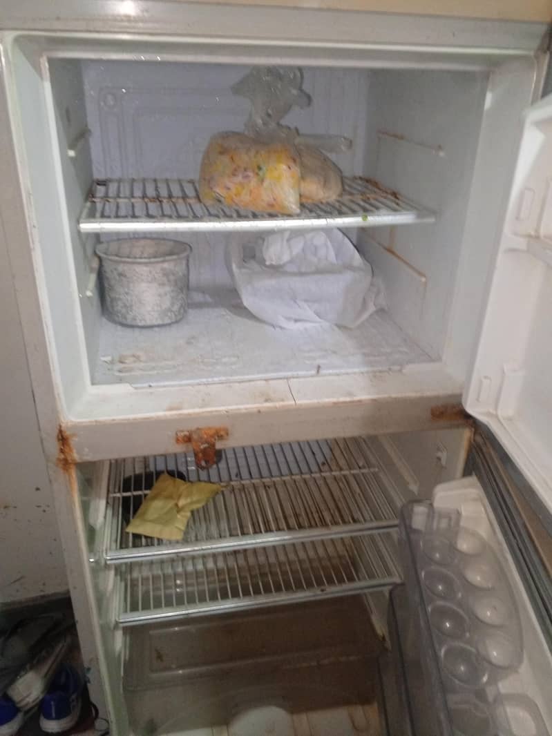 fridge 1