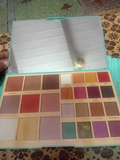 eye shades and blushes