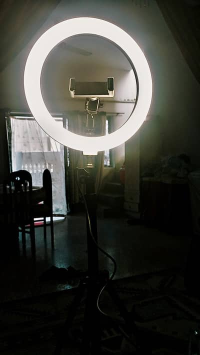 camera stand+ video light