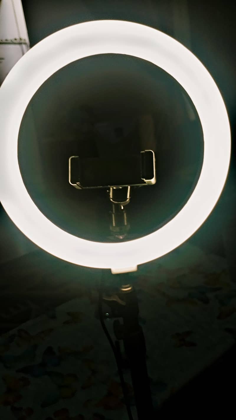 camera stand+ video light 3