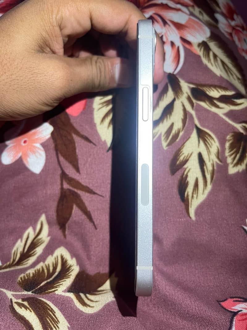 Apple iPhone 13 0