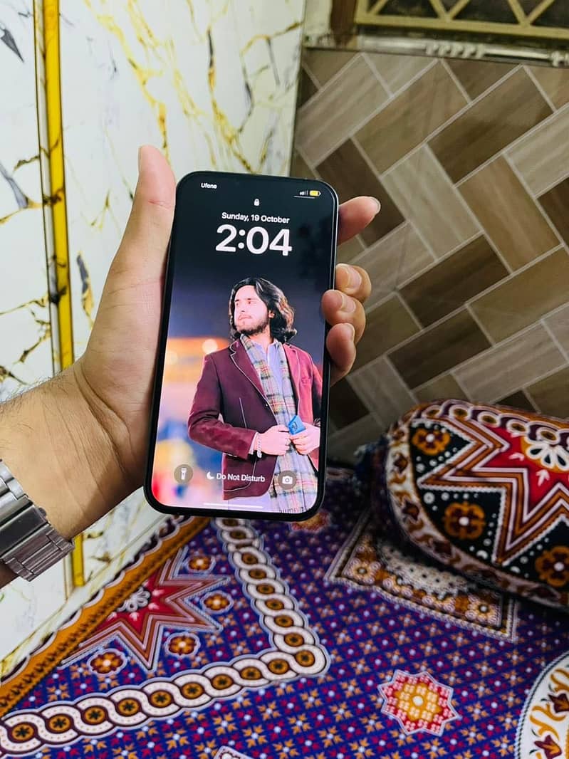 Apple iPhone 13 Pro Max 0