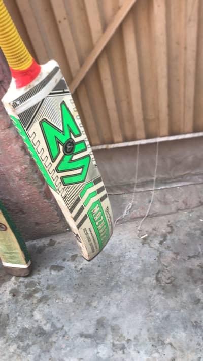 Bat Rupairing