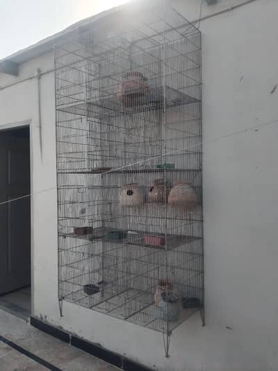 Big Cage For Sale