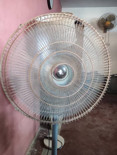 Regular fan for sale