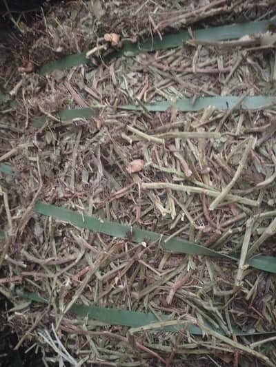 Mongphali ka bhossa missa /peanut hay straw