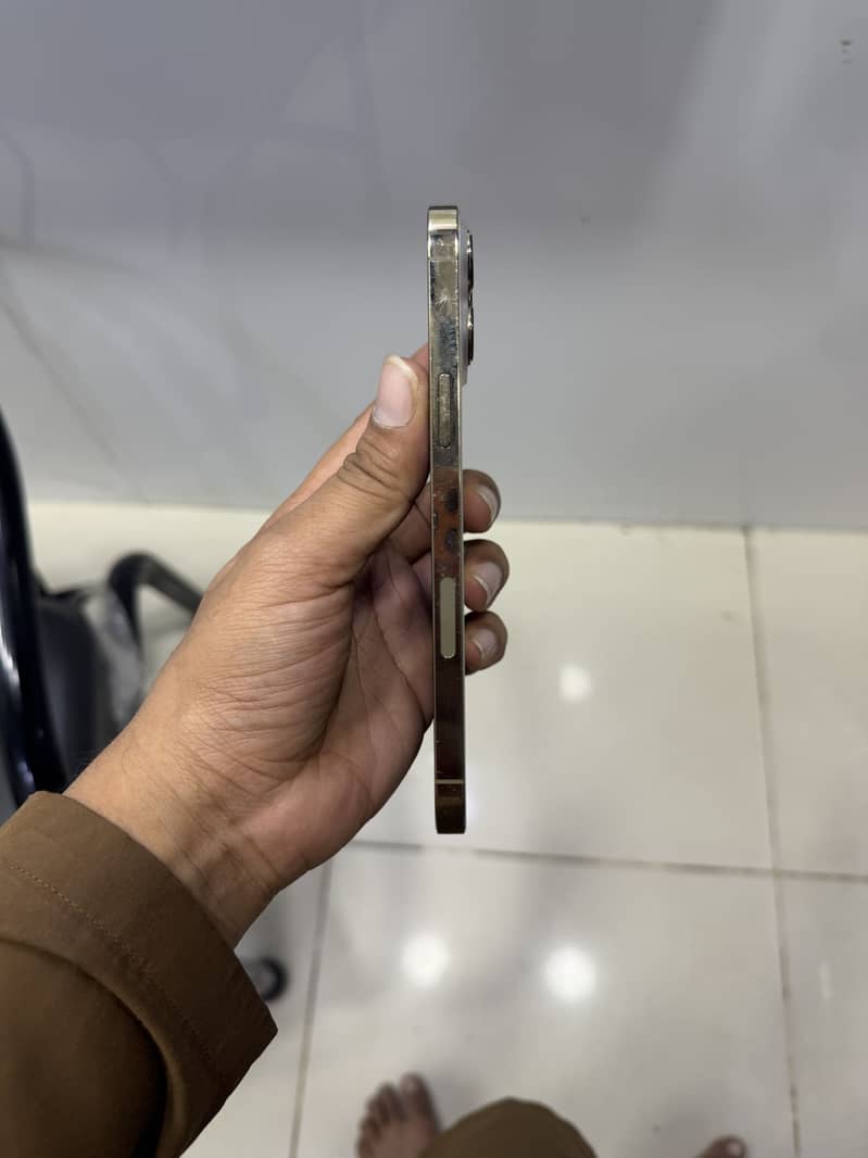 Apple iPhone 13 Pro Max 1
