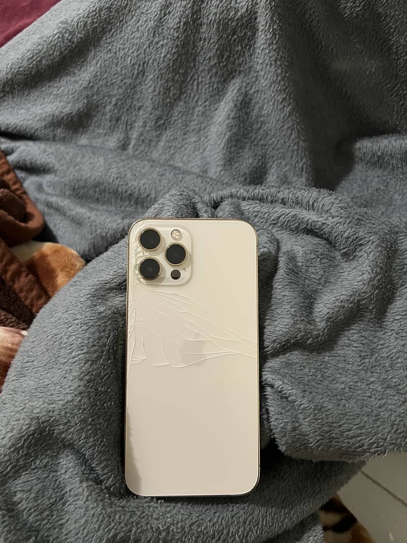 Apple iPhone 12 Pro Max 0