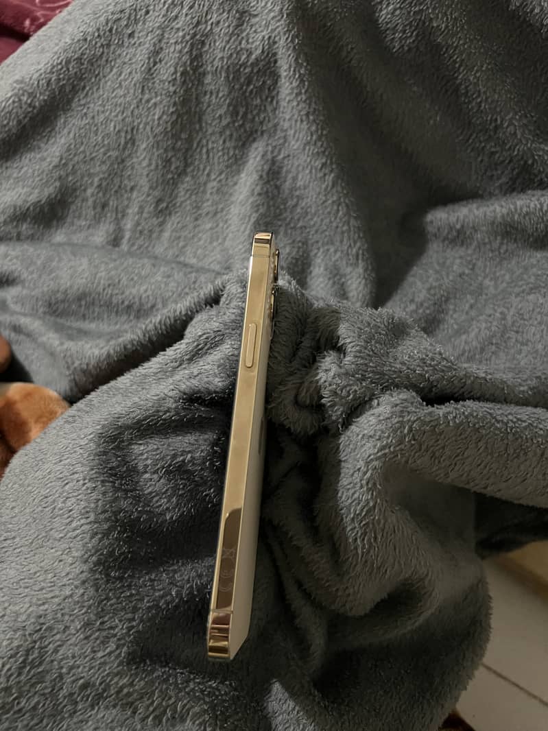 Apple iPhone 12 Pro Max 1
