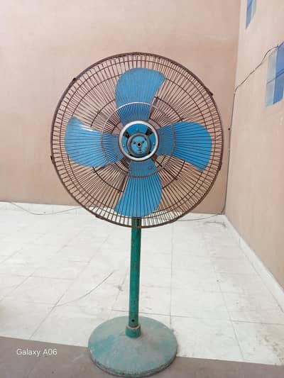 younas fans