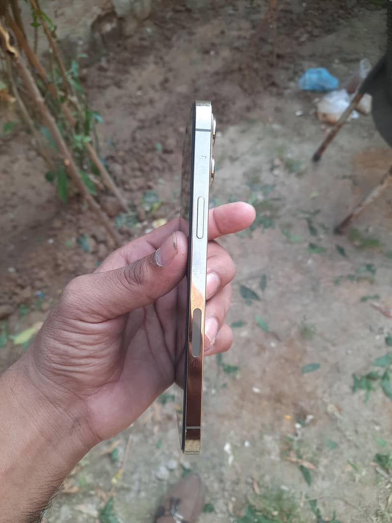Apple iPhone 12 Pro Max 1