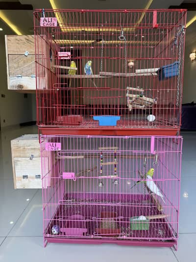 Complete Budgie Setup: 2 Breeder Pairs + 2 Cages + Large Wooden Boxes