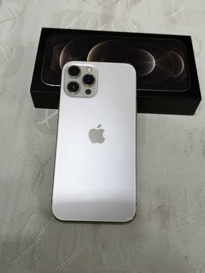 Apple iPhone 12 Pro Max PTA approved