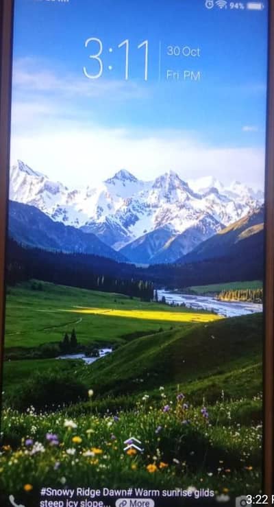 vivo 1724gyggj