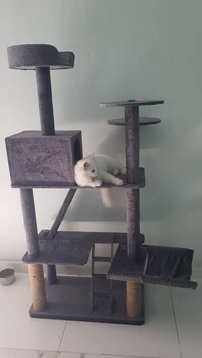 Cat tree