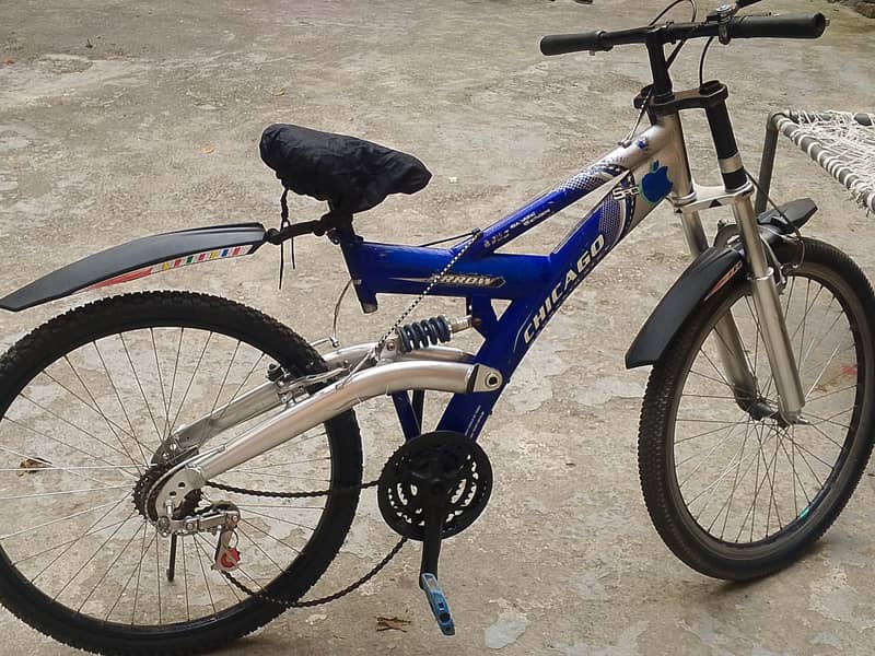 full size  cycle 0